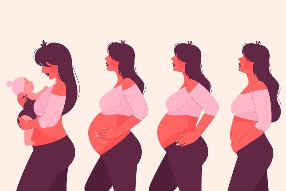 Plan d'achats organise par trimestres pour la grossesse et les premiers mois